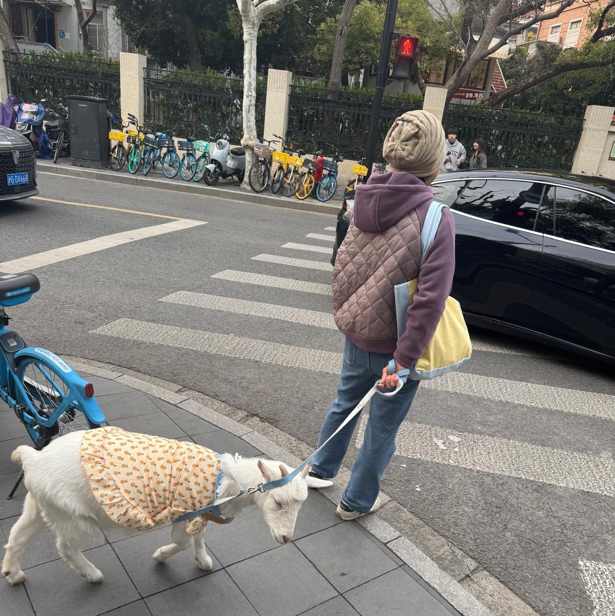 Goat in China